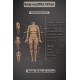 Real Doll Galatea - Zania - 167cm