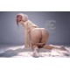 En stock - SEDoll PRO Series en silicone - Yuuka - 165cm