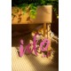 En stock - IDO DOLL - Isabelle - 170cm D-CUP
