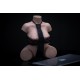 En stock - Torso Erovenus - 34.5cm - Hannah