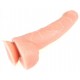 Gode réaliste Foreskin 23 x 5.5cm 