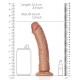 Gode réaliste Ventouse Curved RealRock 20 x 4.6cm Latino 