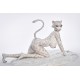 Sex Doll silicone Moonvale Doll - Velara - 165cm D-CUP