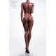 Love doll elfique SEDoll en TPE - Luis - 163cm E-CUP