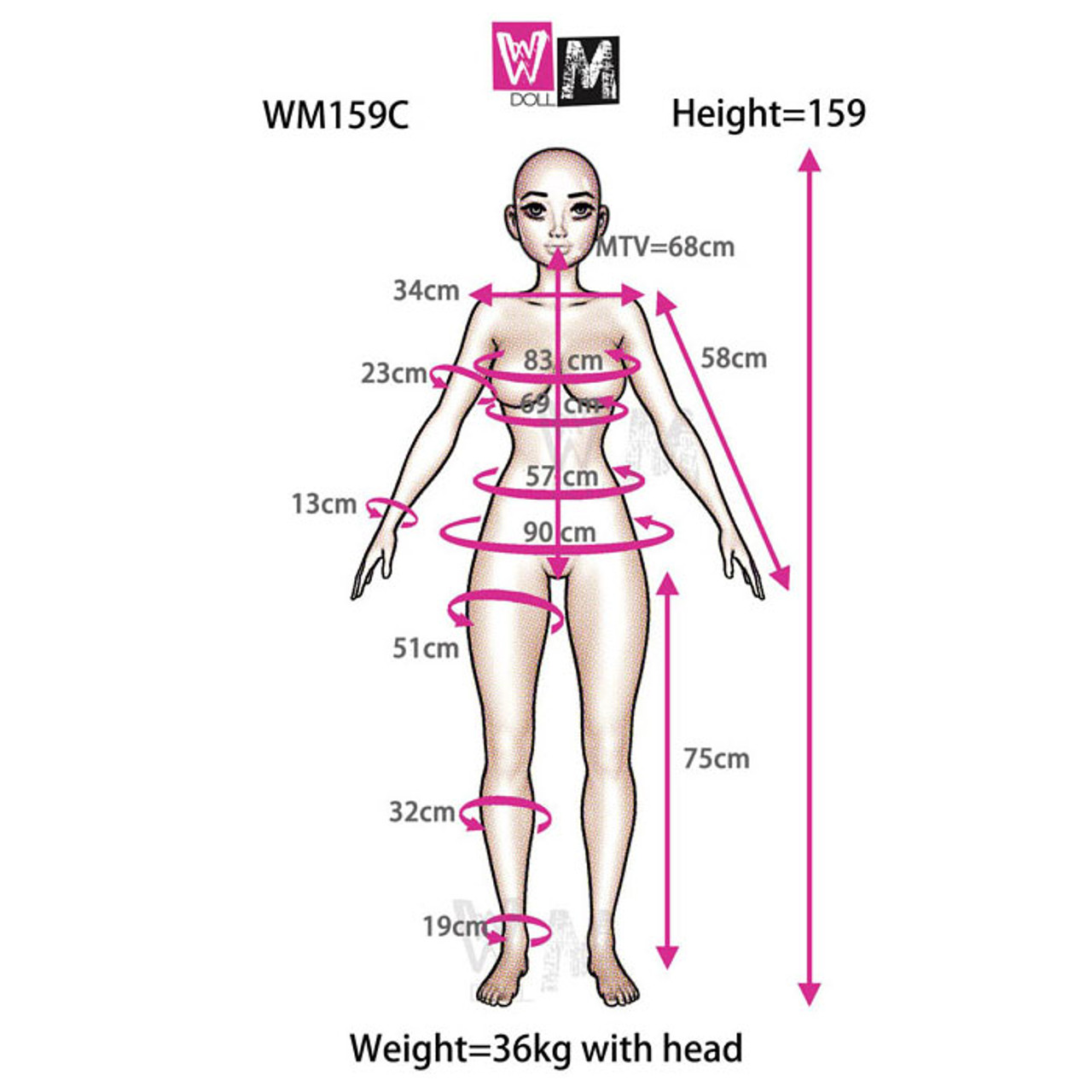 Mesure mensuration d'une sex doll WMDolls