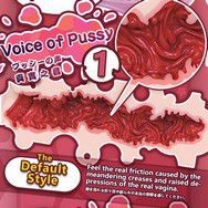 1. Voice of Pussy